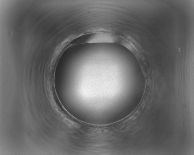 X0000081380193200701182214