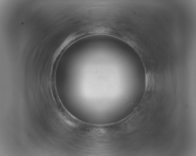 X0000081380195200701182214
