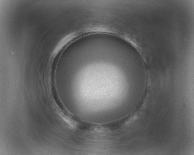 X0000081380199200701182214