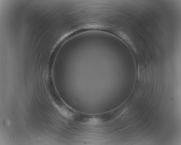 X0000081380204200701182214