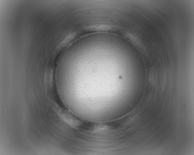X0000081380206200701182214