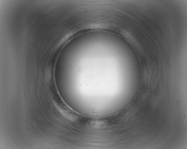 X0000081380208200701182214