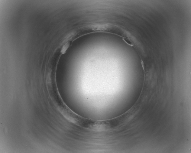 X0000081380209200701182214