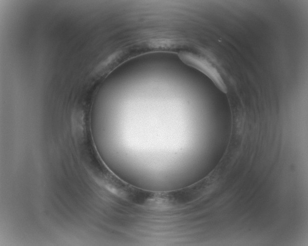 X0000081380211200701182214
