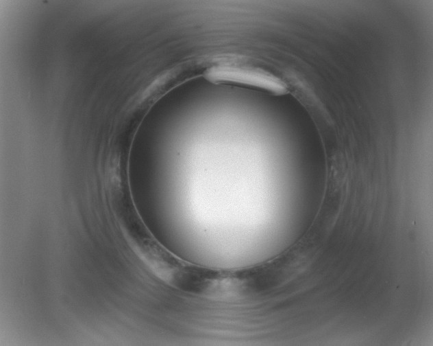 X0000081380212200701182214