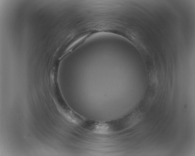 X0000081380214200701182214