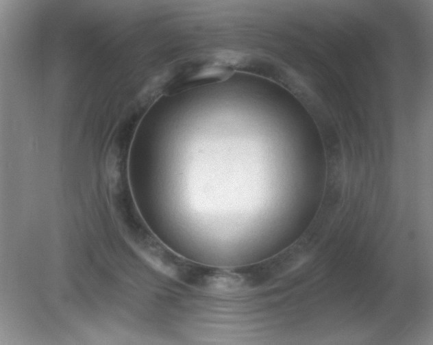 X0000081380215200701182214
