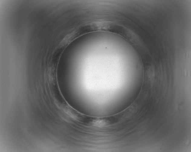 X0000081380218200701182214