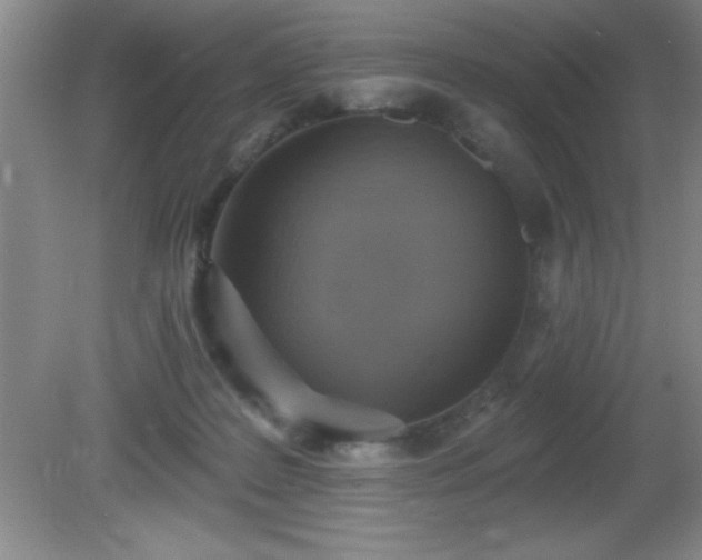 X0000081380219200701182214