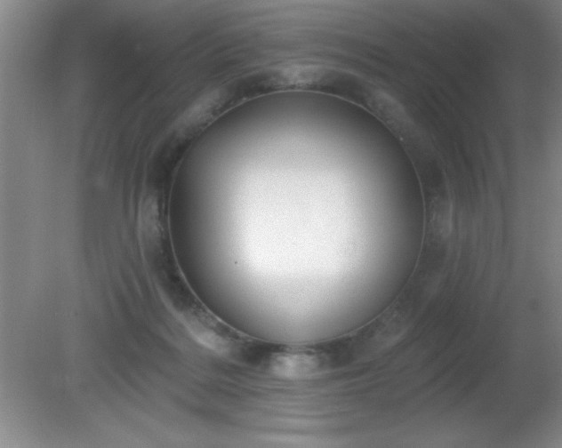 X0000081380220200701182214