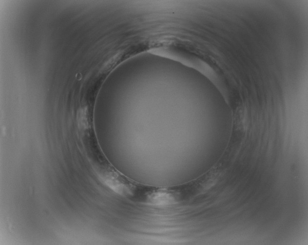 X0000081380224200701182214