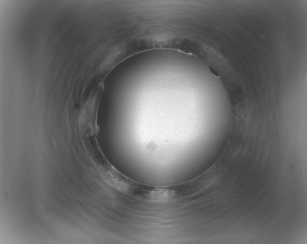 X0000081380225200701182214