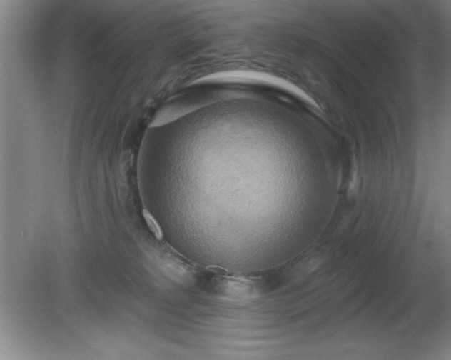 X0000081380229200701182214