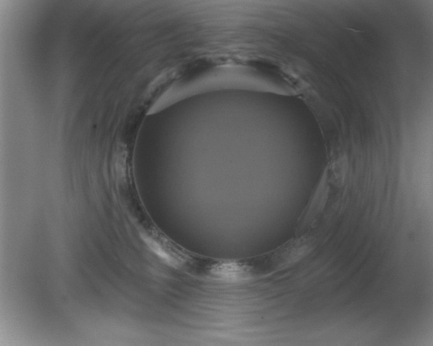 X0000081380231200701182214