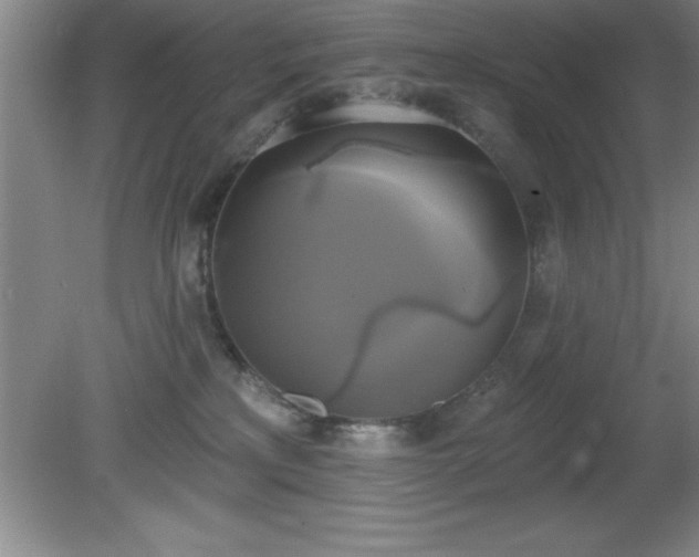 X0000081380233200701182214