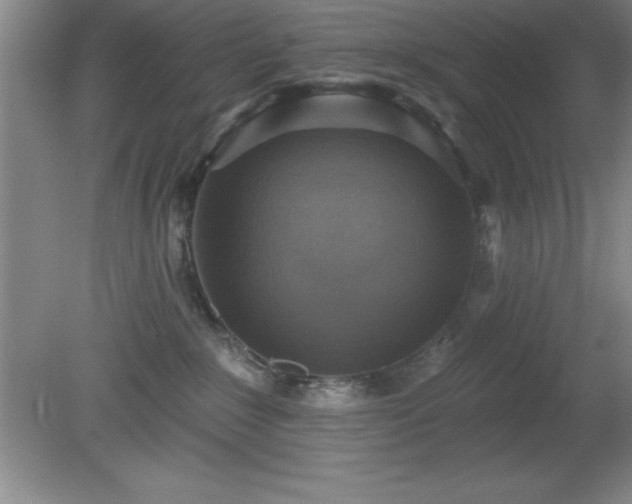 X0000081380235200701182214