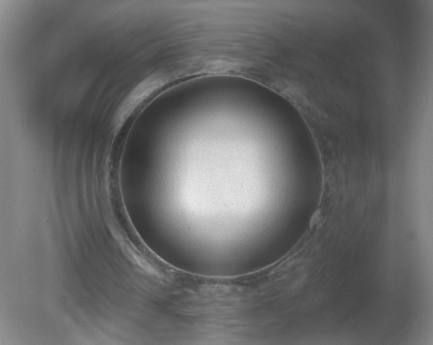 X0000081380242200701182213