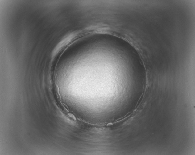 X0000081380245200701182213