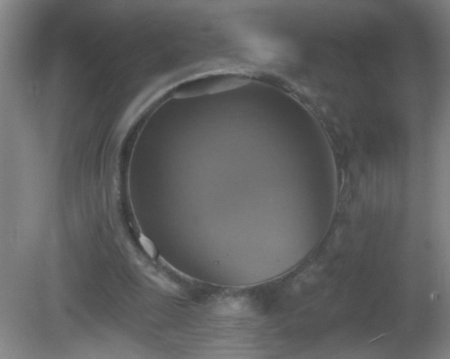 X0000081380247200701182213