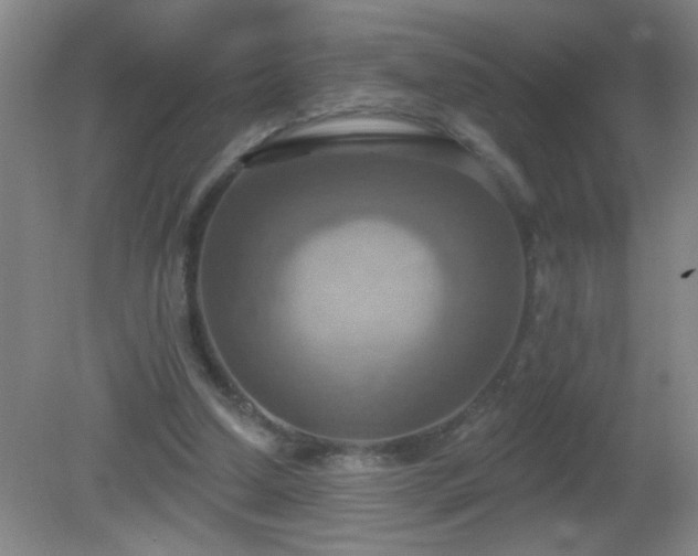 X0000081380250200701182213