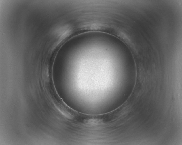 X0000081380251200701182213
