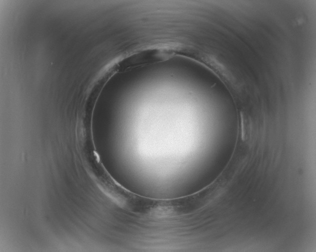 X0000081380252200701182213