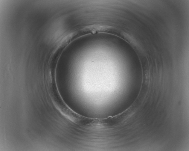 X0000081380254200701182213