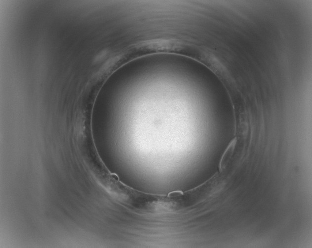 X0000081380255200701182213