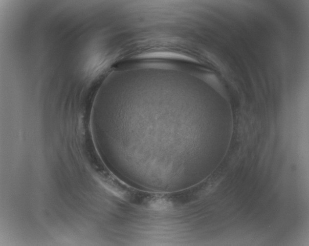 X0000081380258200701182213