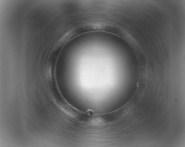 X0000081380262200701182213