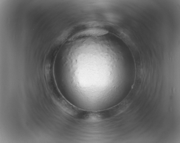 X0000081380263200701182213