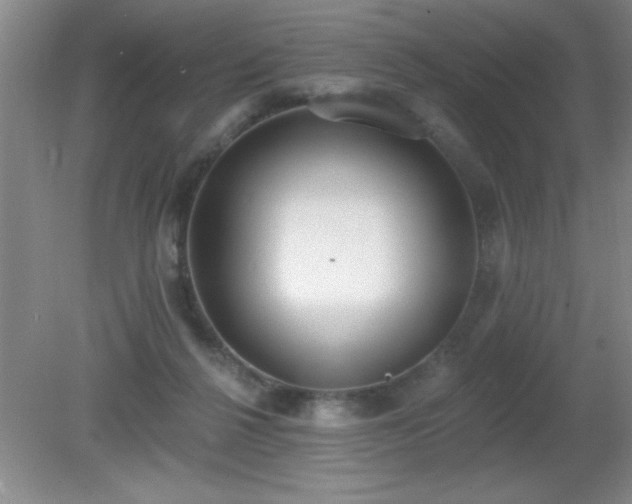 X0000081380264200701182213