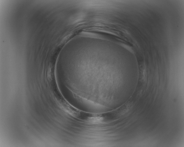 X0000081380266200701182213