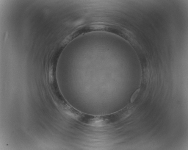 X0000081380267200701182213