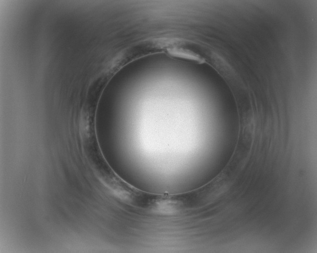 X0000081380268200701182213