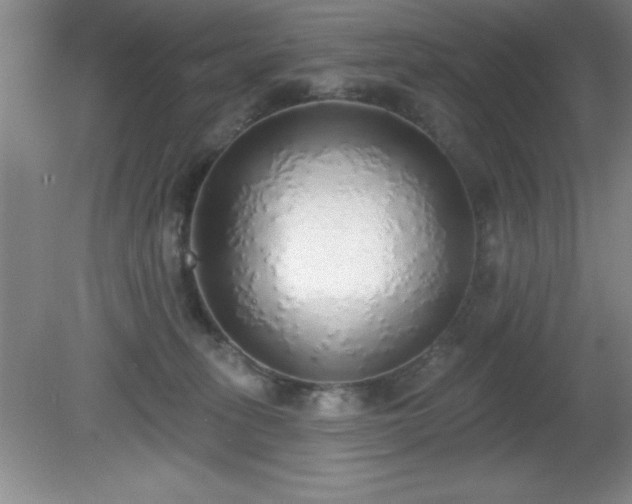X0000081380275200701182213