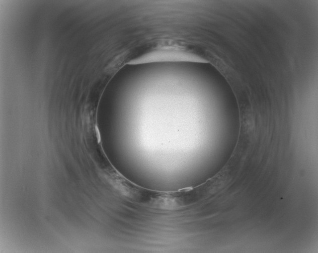 X0000081380276200701182213