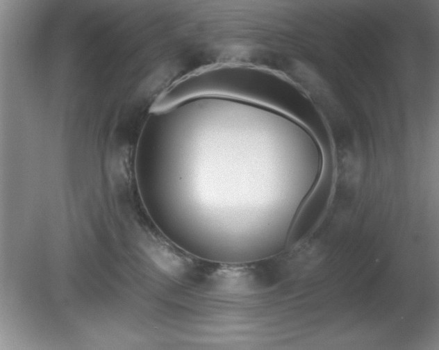 X0000081380280200701182213