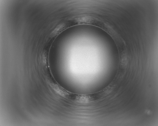 X0000081380282200701182213