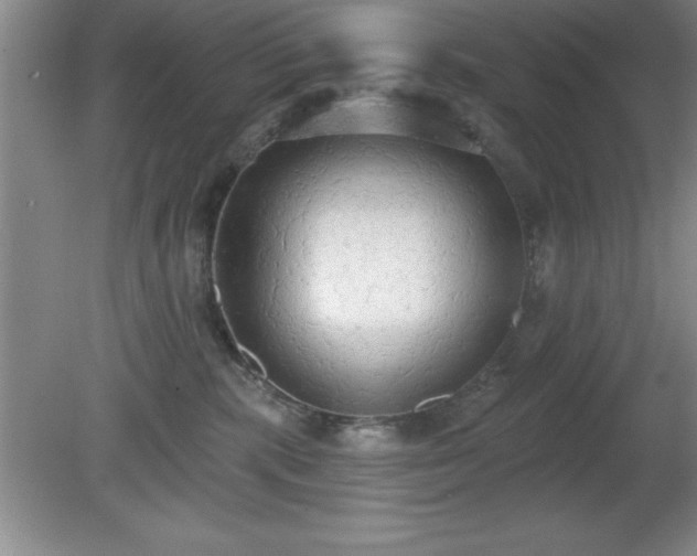 X0000081380283200701182213