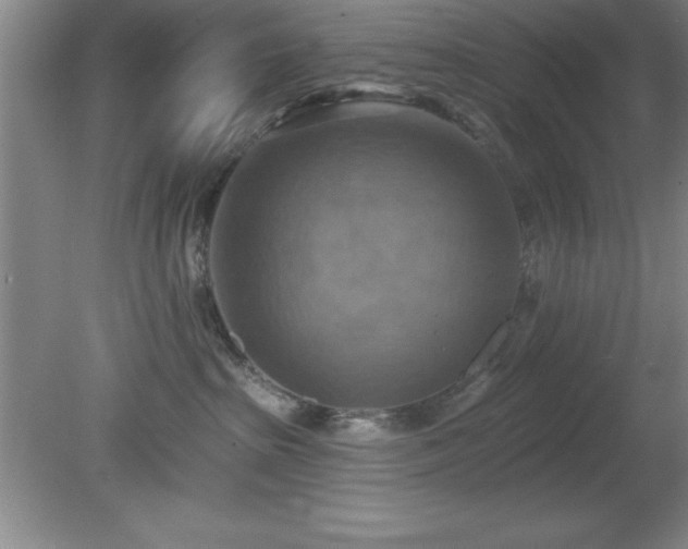 X0000081380285200701182213