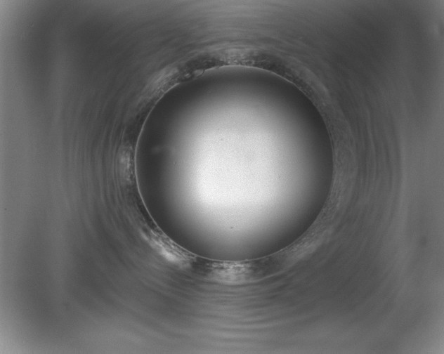 X0000081380288200701182213