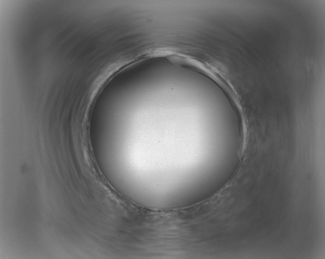 X0000081380289200701182213