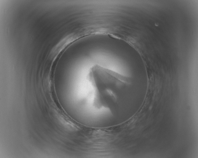 X0000081380290200701182213
