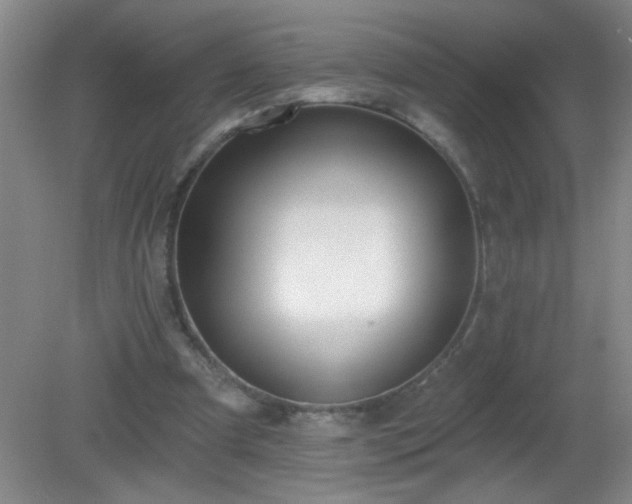 X0000081380297200701182212