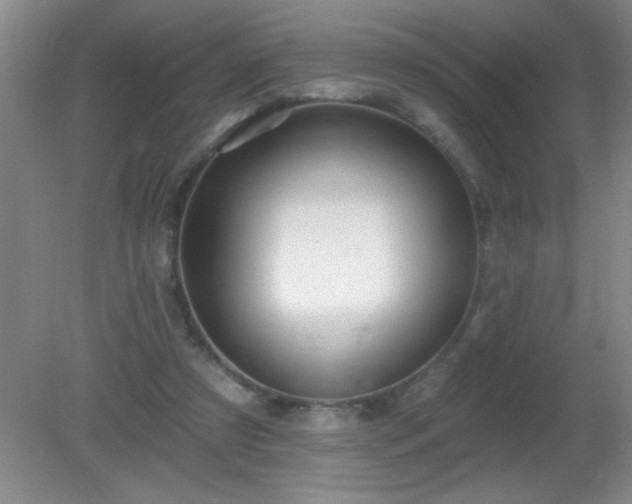 X0000081380305200701182212