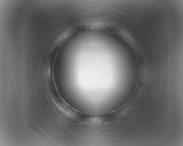 X0000081380310200701182212