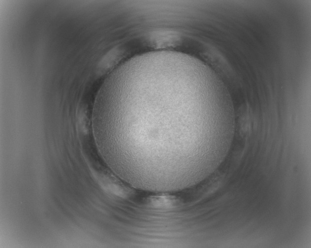 X0000081380316200701182212