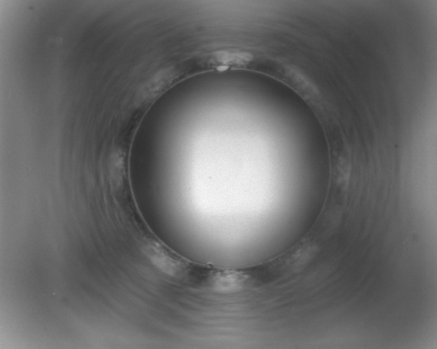 X0000081380321200701182212