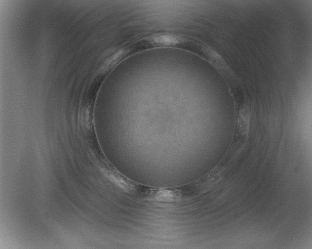 X0000081380330200701182212